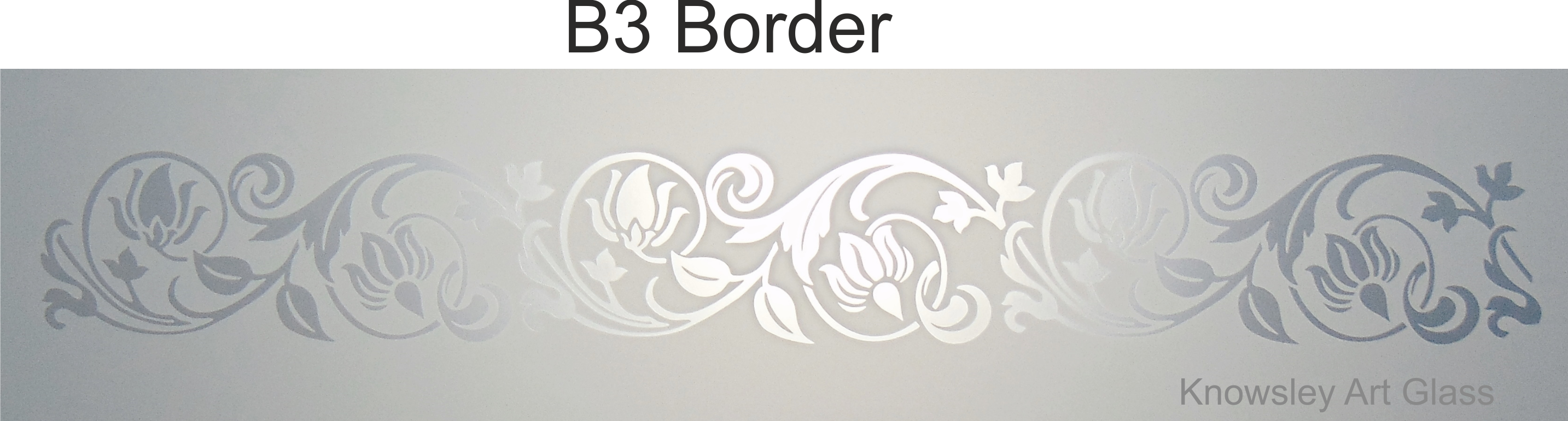 etched acid border frosed glass panels